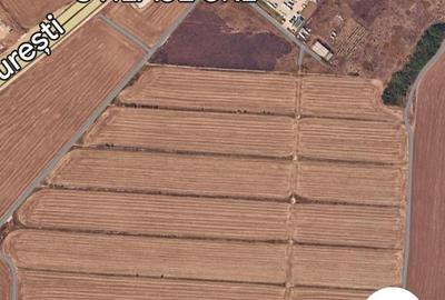 Teren agricol extravilan de 22725 mp, în Glina - 7