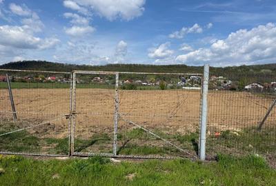 Teren de 9287 mp, în Valea Mare - 3