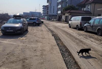 Teren Construcții intravilan de 1263 mp, în Nord - 8
