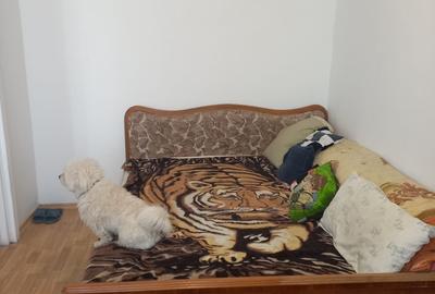 Garsonieră decomandată în Rahova