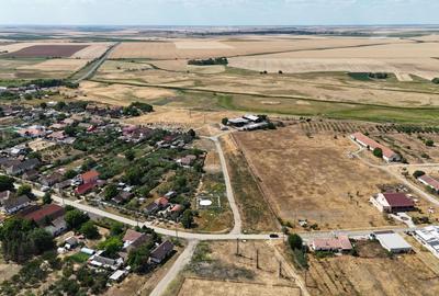 Teren Construcții intravilan de 90000 mp, în Bărăteaz - 12