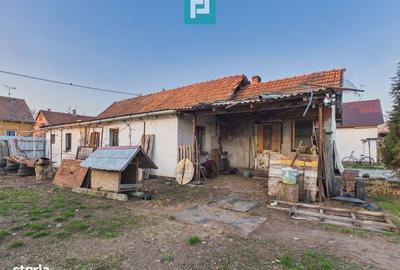 Casă cu 7 camere cu Teren 3141 Mp în Macea - 6