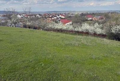 Teren de 1693 mp, în Bradu