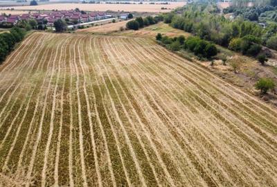 Teren Construcții intravilan de 9200 mp, în Est - 8