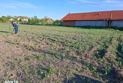 Teren de 934 mp, în Remetea Mare - 2