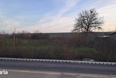 Teren de 2250 mp, în Cornetu