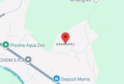Teren Construcții intravilan de 3900 mp, în Aranghel - 1