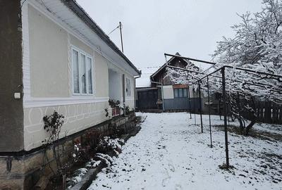 Casă cu Teren 3000 Mp în Coza - 1