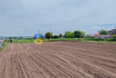 Teren agricol intravilan de 12300 mp, în Cârligi - 11