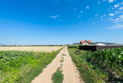 Teren agricol intravilan de 16080 mp, în Sânpetru - 4