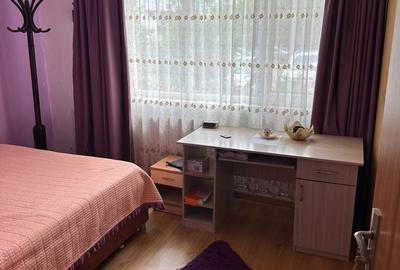 Apartament cu 2 camere semidecomandat în Lacu - 5