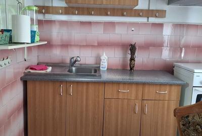 Apartament cu 2 camere decomandat în Siderurgiștilor - 17