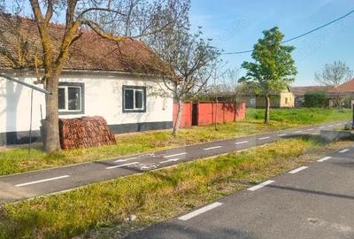 Casă cu 3 camere cu Teren 1500 Mp în Tormac - 3