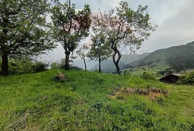 Teren Construcții intravilan de 850 mp, în Turcheș - 15