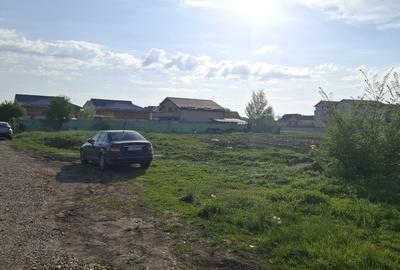 Teren Construcții intravilan de 812 mp, în Haliu - 8