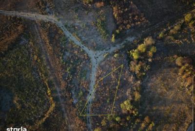Teren de 456 mp, în Paleu