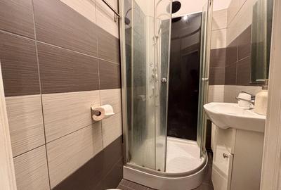 Garsonieră în Badea Cârțan - 6