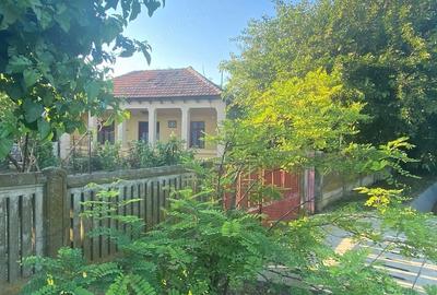 Casă cu Teren 1300 Mp în Central - 7