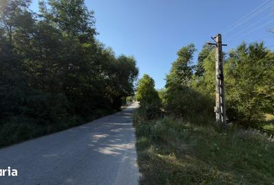 Teren de 4653 mp, în Valea Danului