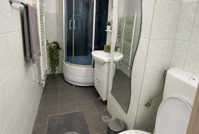 Apartament cu 2 camere semidecomandat, mobilat în Alexandru cel Bun - 3