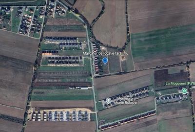 Teren de 594 mp, în Bucovăț (Remetea Mare) - 8