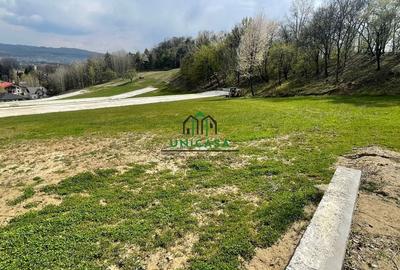 Teren intravilan - Calea Lui Traian - Zona Cetatuia - 10