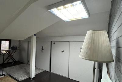 Vila de inchiriat Clinceni, 4 camere, 600 mp curte - 31