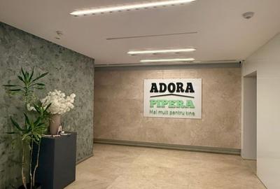 De inchiriat: Studio PIPERA Adora | Scoala Americana | Vasile Alecsandri - 15