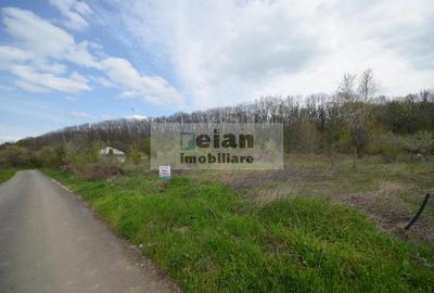 Teren Construcții intravilan de 3200 mp, în Snagov - 9