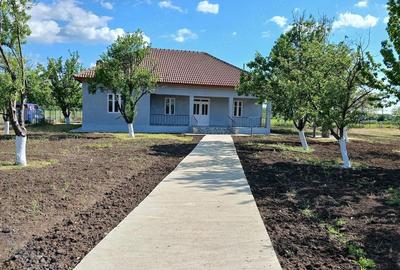 Casă cu 2 camere cu Teren 4038 Mp în Radovan - 10