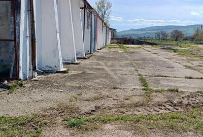 Complex Industrial cu rampa feroviara de inchiriat in Birtin - Bihor - 5