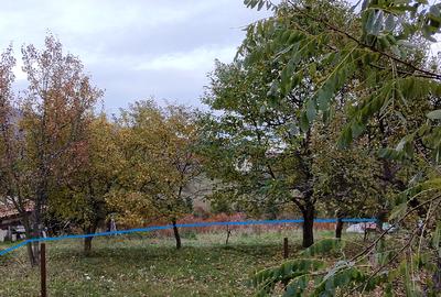 2000 mp, teren intravilan Pestera, Brasov, comision 0% - 12