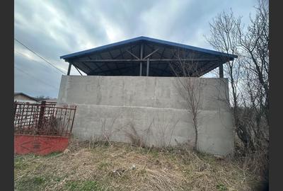 Spațiu industrial, de 82 mp, în Drăguțești - 4