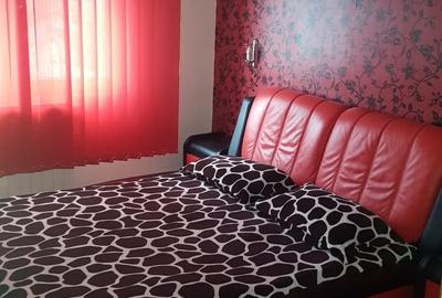 Apartament cu 4 camere decomandat, mobilat în Doamna Ghica - 4