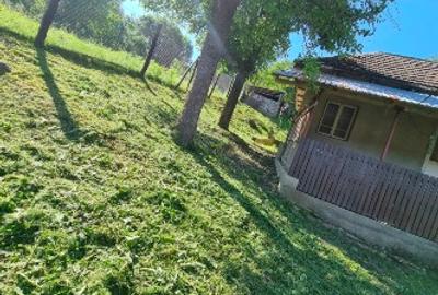 Casă individuală cu 5 camere cu Teren 15000 Mp în Dosu Râului - 10