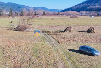 TEREN intravilan  4488 mp - PANGĂRAȚI - 6