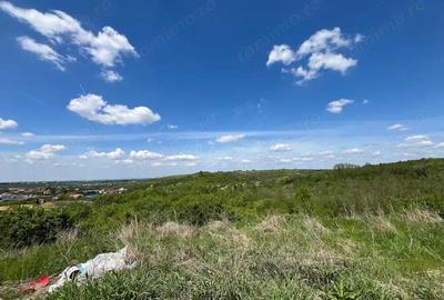 Lugoj Teren 8.200 Mp., Dealul Viilor, Priveliste Impresionanta - 1