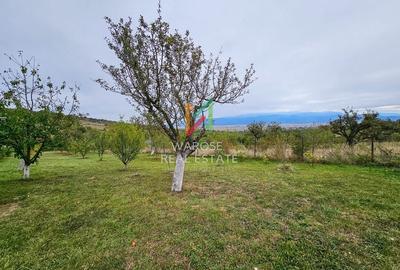 Teren Investitie- 1730 mp-Cabana construita 60 mp - 18