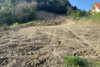 Teren intravilan cu toate utilitatile, 2000 mp, zona Episcop - 3