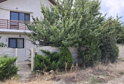 CASA LA CHEIE ! GATA DE MUTARE - 3