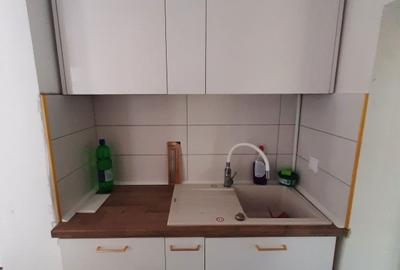 Casă cu 2 camere în Băile Felix - 8