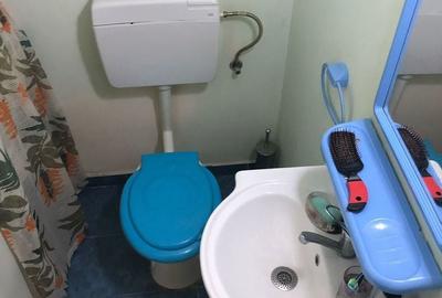 2 Camere Semidecomandat Centrala Proprie Drumul Gazarului - 12