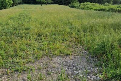 Spațiu comercial, în Biharia - 1