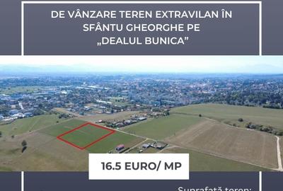 De vânzare teren extravilan în Sfântu Gheorghe pe „Dealul Bunica”! - 1