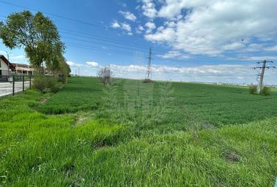 Teren Construcții intravilan de 9300 mp, în Exterior Nord - 1