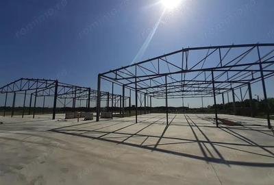 Hale noi in zona Gara Catelu, Drumul Intre Tarlale - 4