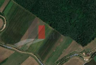 Teren Intravilan Padure Joita - 2
