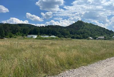 Teren intravilan de vânzare – 1000 mp – Cristian, județul Brașov - 1