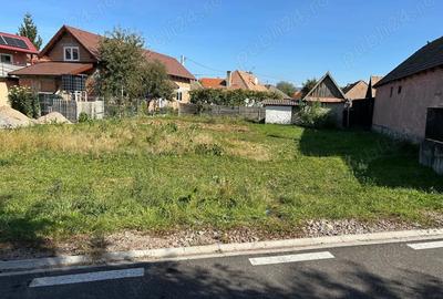 Casă cu 2 camere în Chichiș - 4