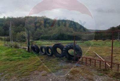 Teren de 12095 mp, în Avram Iancu (Vârfurile) - 4